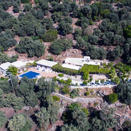 Villa Talos 帕琉乔拉 外观 照片