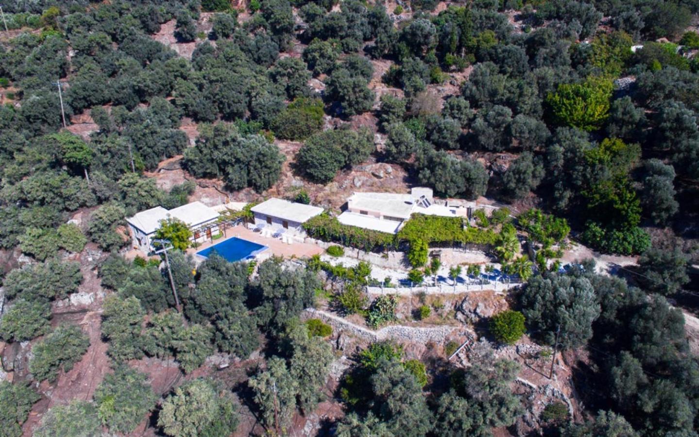 Villa Talos 帕琉乔拉 外观 照片